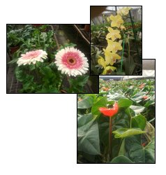 Cut-Flower Project