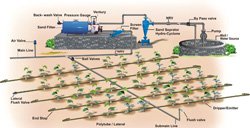 Drip Irrigation System