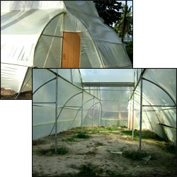 Green House and Poly House