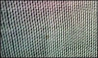 Insect Net