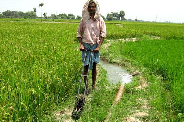 Paddy Weeder Machine